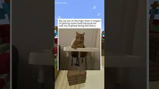 Animal Memes! #shorts