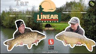 298 Linear Fisheries, Tar Farm Lake 6