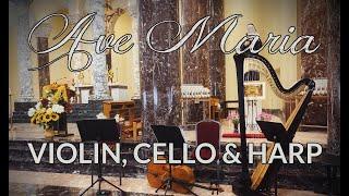 AVE MARIA - Violin, Cello & Harp STRING TRIO - Chicago Street Strings
