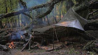 Camping in a heavy rain : Surviving a Dark & Gloomy Rainforest with my dog