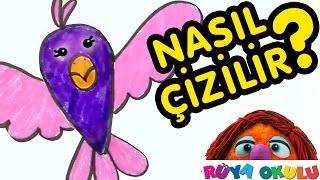 Nasıl Çizilir? - Kuş - Çocuklar İçin Resim Çizme - RÜYA OKULU