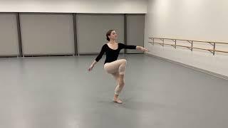 Ailey/Fordham Audition