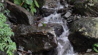 Kurseong Waterfall ️