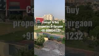 South City 2 View, Gurgaon. Buy luxury Builder Floor in a gated society