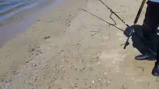 Fishing at the beech. Nakhodka, Primorye, Russia. 001