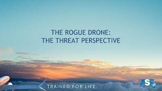 The Rogue Drone: The Threat Perspective