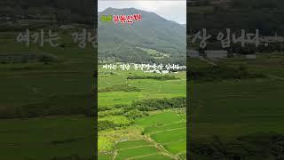 여기는 경남 동양산 웅상 입니다.
