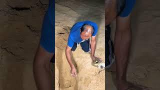 Jai shree sawariya Seth ji #Mahadew #Mahakal #@kr haunted vlog