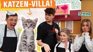 LUXUS-VILLA für BABY-KATZE!  | MACH MAL mit OBI