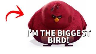 I'M THE BIGGEST BIRD