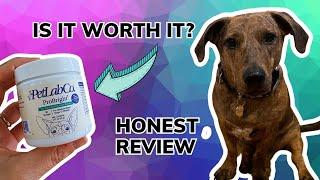 PetLab Co. ProBright Dental Powder | Is it Worth it?