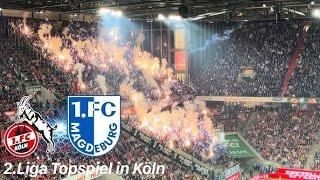 Pyro Show vom 1.FC Magdeburg in Köln Köln VS Magdeburg