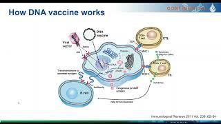 High-Quality Plasmid DNA Manufacturing Strategies for Gene and Cell Therapeutics