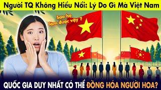 Người TQ không hiểu nổi: Việt Nam là quốc gia duy nhất có thể đồng hóa được người Hoa?