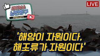 [낭만항구] '해양이 자원이다,해조류가 자원이다'