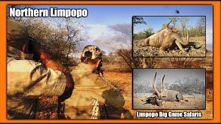 Hunting Northern Limpopo with Limpopo Big Game Safaris