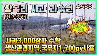 #588 죽장면 상옥리 청정지역 사과과수원매매-‎@강산부동산TV  #슬로우시티 #죽장사과 #자연인 #포항부동산