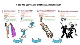 Criminal Law - Chapter 5: Offences Against Person (Degree - Year 1)