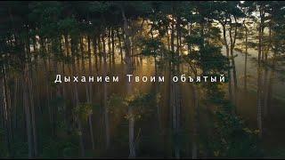 SokolovBrothers - Дыханием Твоим объятый