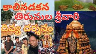 శ్రీవారి మెట్ల ద్వారా వెంకన్న దర్శనం | Tirumala Tirupathi temple tour | tirumala vlog #tirumala #god