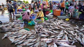 Early Morning Fish Market In Cambodia - Daily Lifestyle & Activities of Khmer People Buying Fish