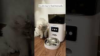 Petchain Automatic Cat Feeder, 4L WiFi Pet Food Dispenser for Cats and Dogs APP Control