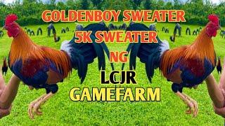 LCJR GAMEFARM - JL SALBIBIA - 5K SWEATER- GOLDENBOY SWEATER- SIGNATURE line in the Philippines...