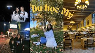 năm đầu học đại học ở mỹ  || college vlog - ngành STEM, công việc, sinh nhật || du học sinh mỹ