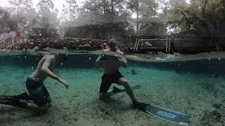 Florida Springs Freediving Cave