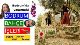 Bodrum'da yaşam | Bahçe işleri | Şehirden göç 