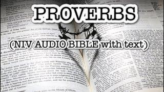 PROVERBS(NIV AUDIO BIBLE with text)