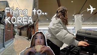 ️ 13 HR FLIGHT TO KOREA | Air Premia