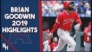 Brian Goodwin 2019 Highlights