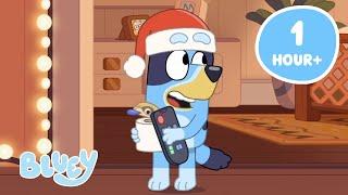 LIVE: Bluey's Countdown to Christmas   | Festive Moments, and More! | Bluey