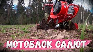 Что такое МОТОБЛОК САЛЮТ? Детальный разбор от Gardenstock, комплектация, работа по целине!