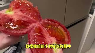 孕吐除了水果青菜，一点肉类鸡蛋都吃不了