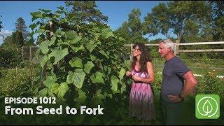 Growing a Greener World Episode 1012: From Seed to Fork: Growing an Abundant Cold-Climate Garden