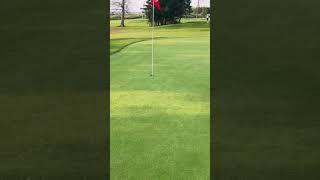 Backspin shot on par 3 to bring us back down to even par. Watch the rest of the video on our channel