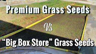 Premium vs Inexpensive Grass Seeds | Is it worth it?