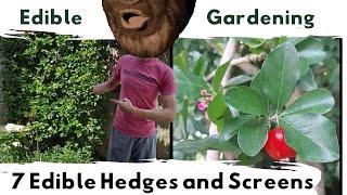 7 Edible & Fruiting Hedges and Screens