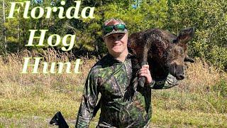 Florida Hog Hunting *Stalking a Pack of Wild Boar*