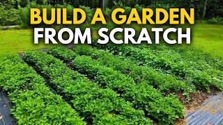 The Easiest No-Till Garden Beds – No Weeding, No Digging!