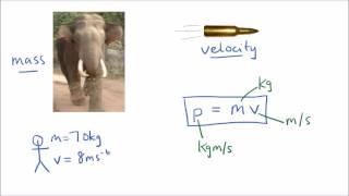 Momentum & Conservation of Momentum | GCSE Science | Physics | Get To Know Science