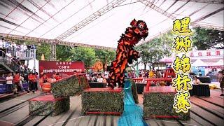 Lion Dance | 2024 Guangdong University Students Lion Dance Championship |广东白云学院醒狮队  舞狮比赛 醒狮表演 传统龙狮文化