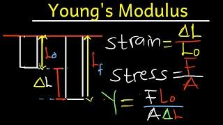 Youngs Modulus: What It Is and How to calculate it