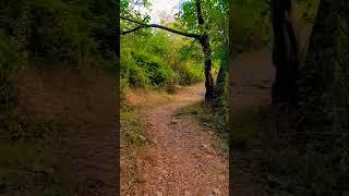 Trail 5 Hiking Islamabad