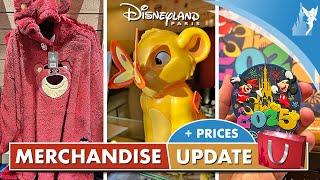 ️ Disneyland Paris MERCHANDISE Update | January 2025