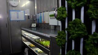 What does it look like to operate a Greenery container farm?