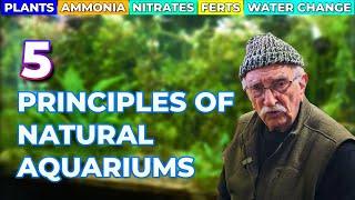 Create A Stunning Natural Aquarium: A Step-by-step Guide