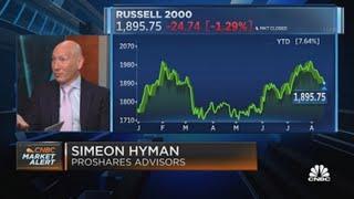 Hyman: Small-cap stocks are the place to be because of the dividend growth